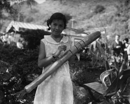 Pictures of the 20th Century