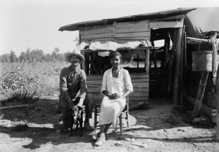 Pictures of the 20th Century