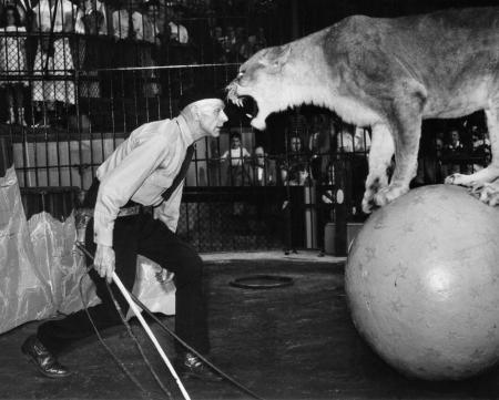 Pictures of the 20th Century