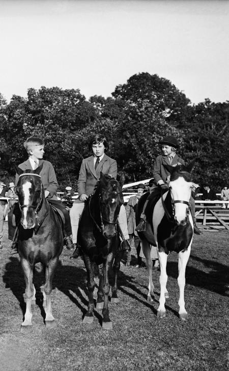 Pictures of the 20th Century