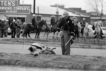 Pictures of the 20th Century