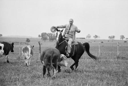 Pictures of the 20th Century