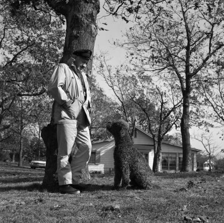 Pictures of the 20th Century