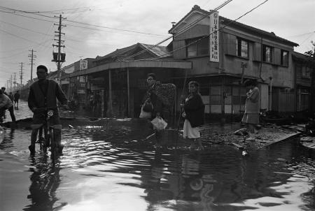 Pictures of the 20th Century