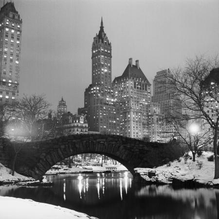 Pictures of the 20th Century