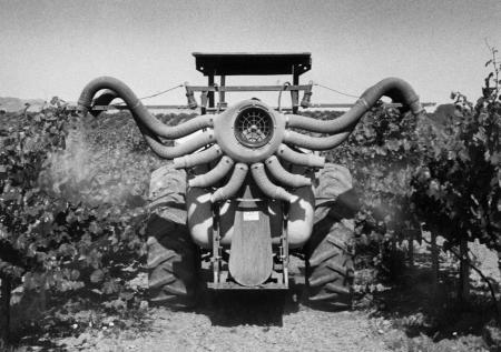 Pictures of the 20th Century