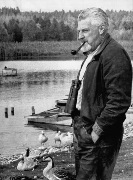 Pictures of the 20th Century