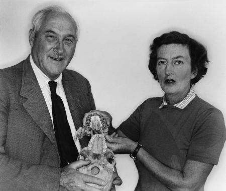 Pictures of the 20th Century