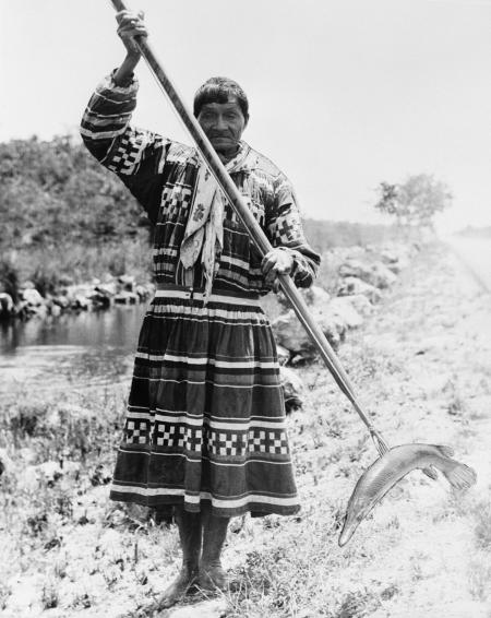 Pictures of the 20th Century