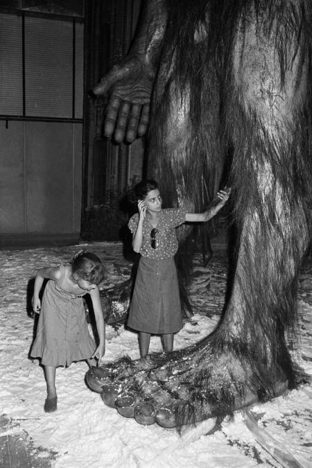 Pictures of the 20th Century