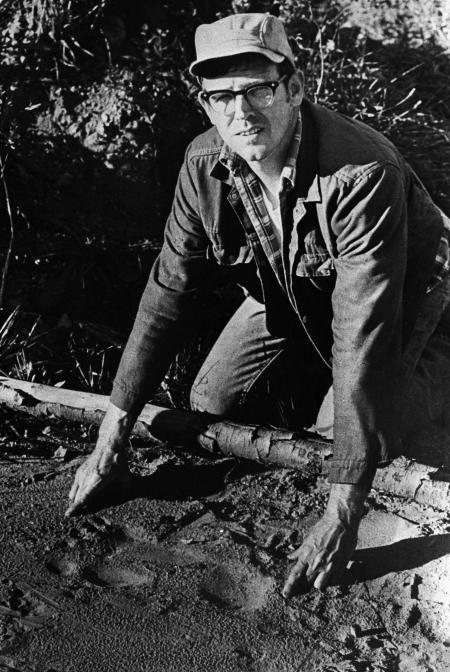 Pictures of the 20th Century