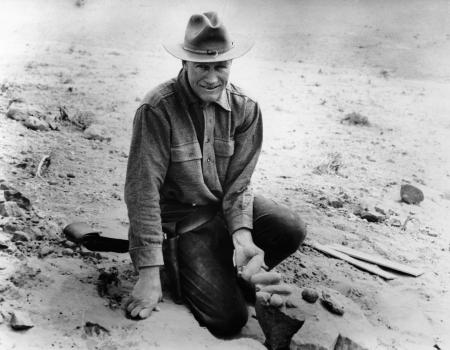 Pictures of the 20th Century