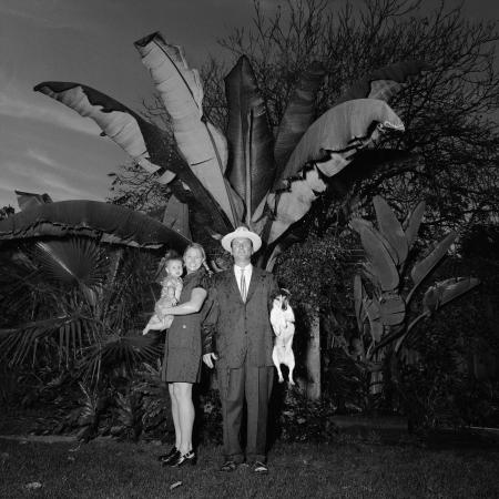 Pictures of the 20th Century