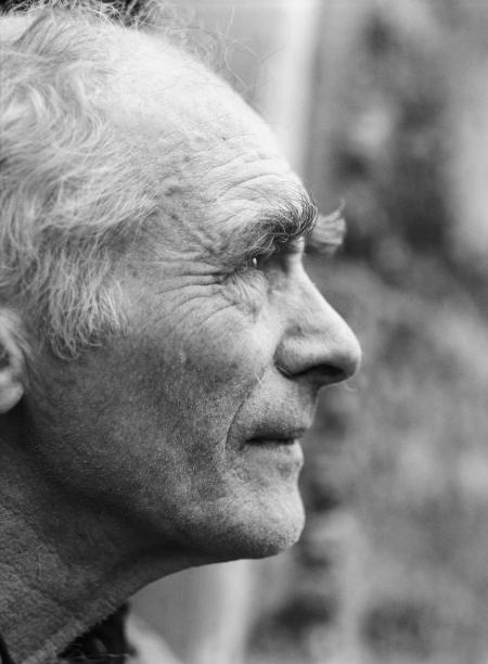 Pictures of the 20th Century