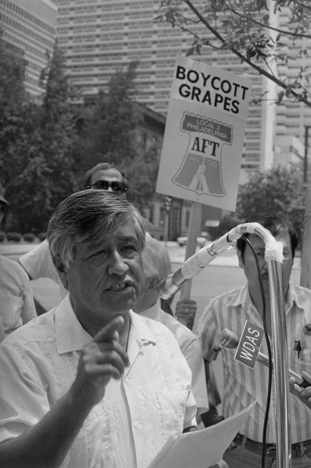 Pictures of the 20th Century