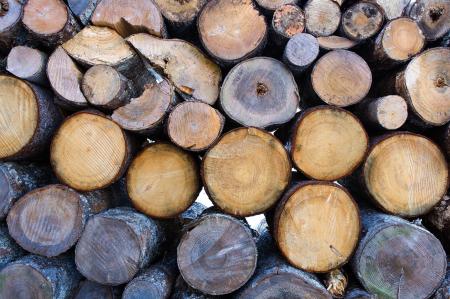 Pile of wood logs
