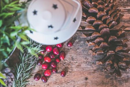Pine Cone Beside Coffee Bean