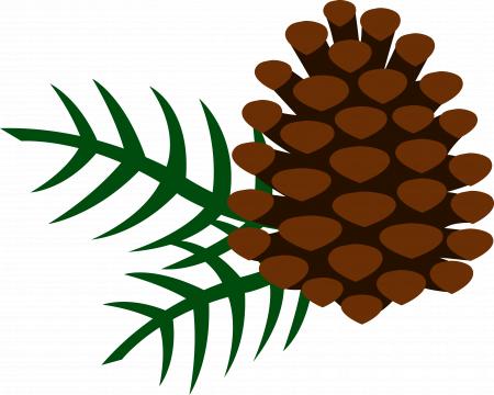 Pine cone silhouette
