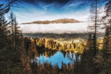 Pine Trees Beside Body of Water Near Mountain Under White Clouds