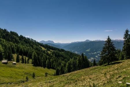 Pine Trees on Mountain Under Blue Sky during Daytime