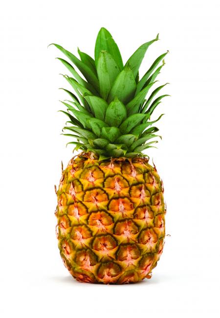 Pineapple fruit