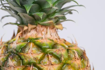 Pineapple Fruit