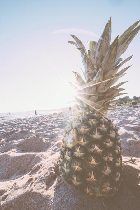 Pineapple in Gray Sand during Daytime