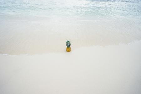 Pineapple in the Middle of the Seashore