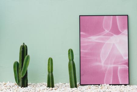 Pink and White Abstract Painting Near Green Cactus