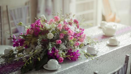 Pink and White Petaled Flower