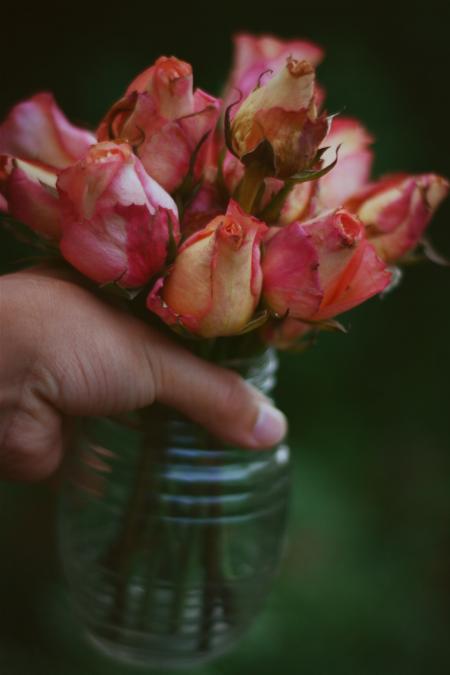 Pink and White Rose Flower Arrangement in Vase