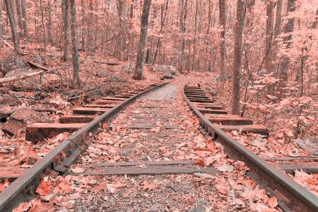 Pink Autumn Logging Railroad - HDR