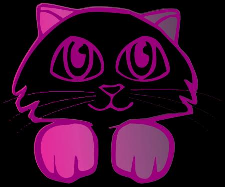 Pink Cat