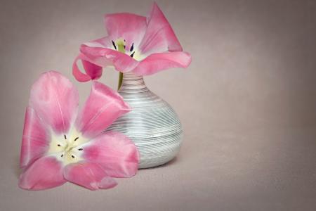 Pink Flowers