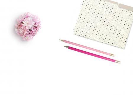 Pink Petaled Flower Beside Two Pink Pens