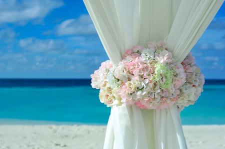 Pink White Petal Flower on White Curtain Near White Sand Beach on Daytime