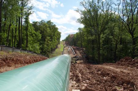 Pipeline through forest