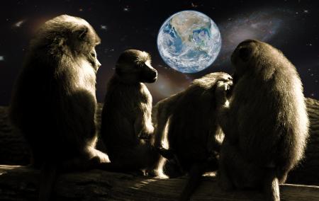 Planet of the Apes