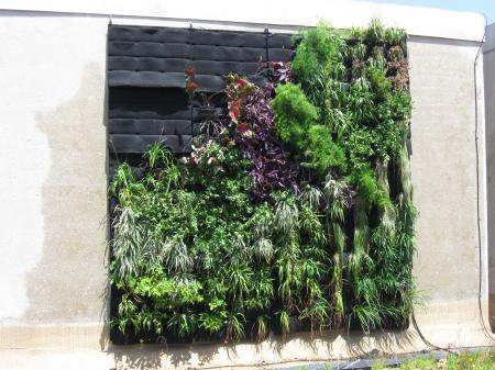 Plant grown wall