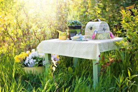 Planting in the Garden