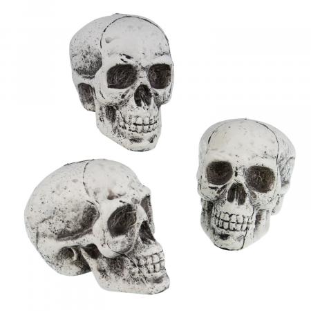 Plastic skull