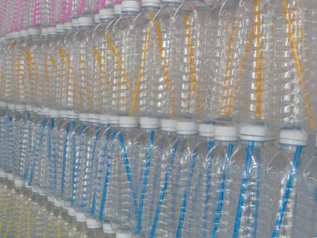Plastic Water Bottles