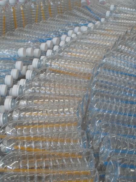 Plastic Water Bottles