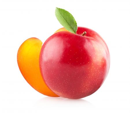 Plums isolated on white background