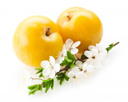 Plums isolated on white background