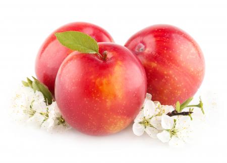Plums isolated on white background