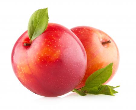 Plums isolated on white background