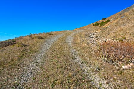 Point Reyes Winding Trail - HDR