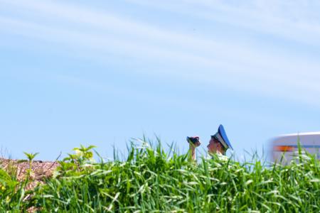 police in the bushes