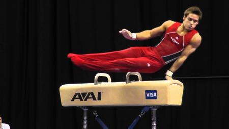 Pommel Horse